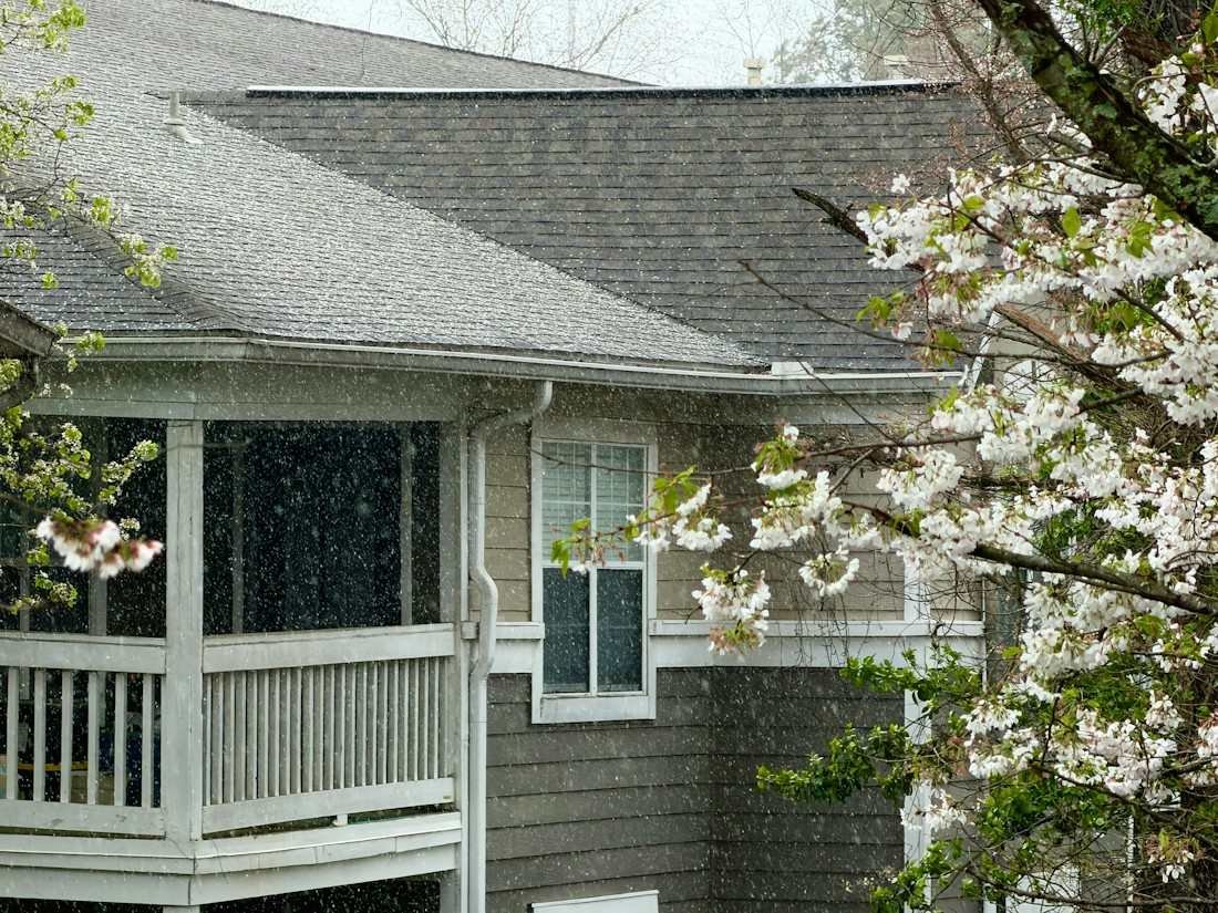 Rain falling past a porch and a gray shingle roof beside a flowering tree